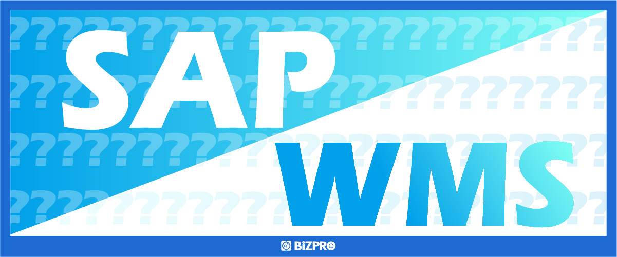 什麼是SAP與WMS？